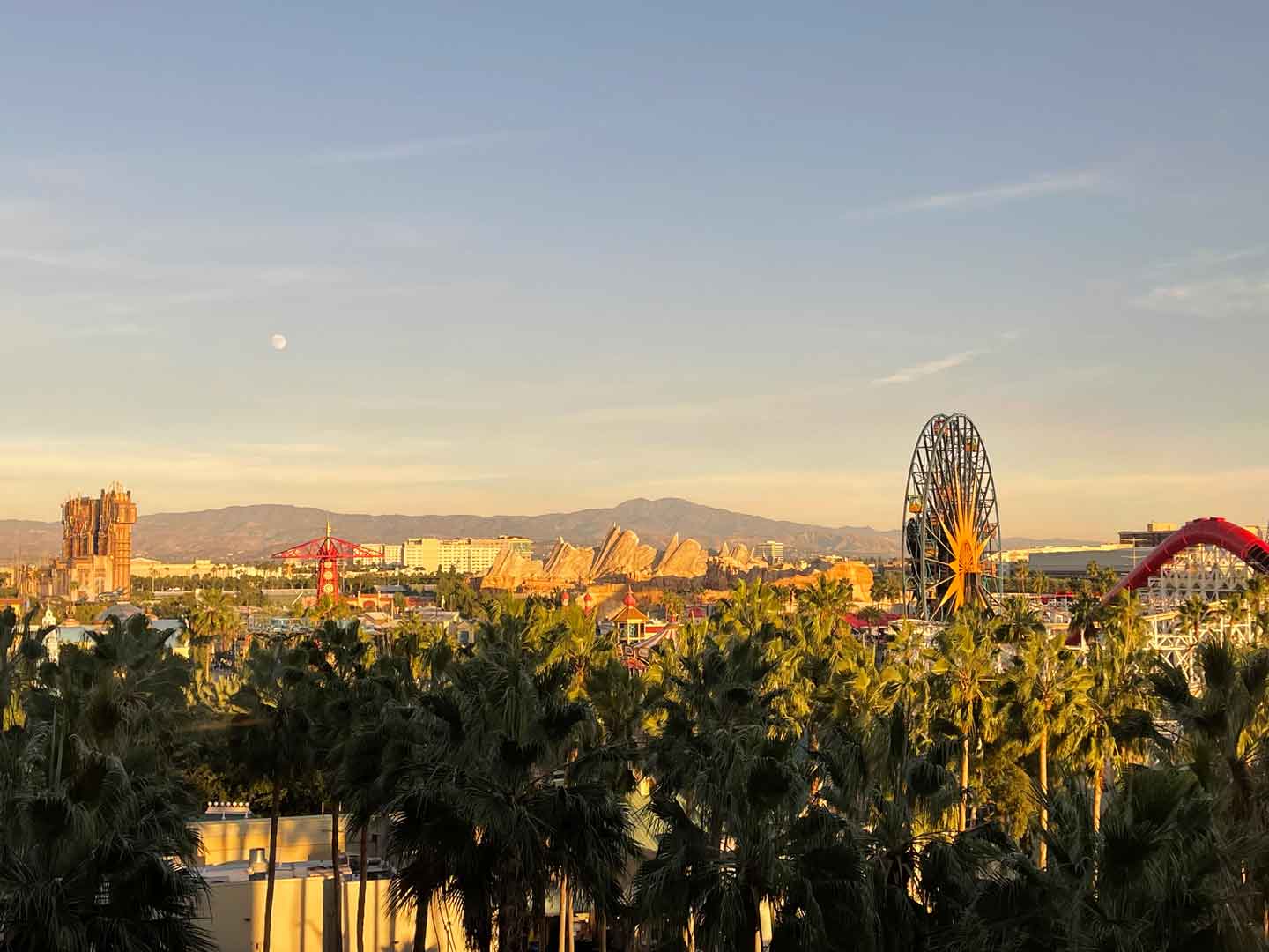 View from Paradise Pier Hotel