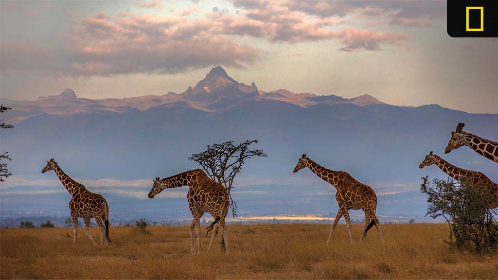 National Geographic Expeditions Announces 2024 Signature Land Trips, River Cruises and Private Expeditions